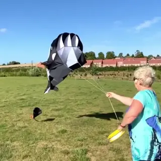 🎁 El regalo perfecto para grandes y chicos 🎁